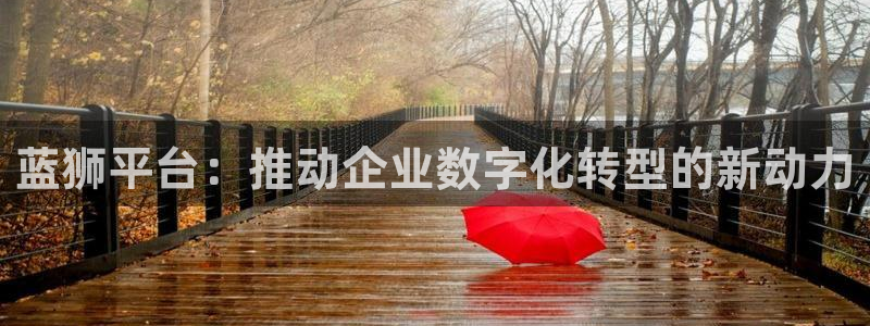 华信娱乐游戏官网平台：蓝狮平台：推动企业数字化转型的新动力