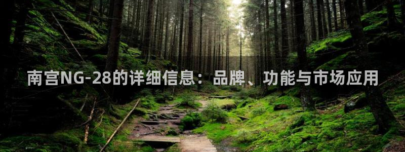 华信娱乐游戏有哪些好玩的：南宫NG-28的详细信息：品牌、功能与市场应用