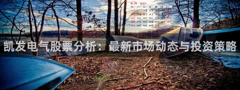 华信娱乐3登录：凯发电气股票分析：最新市场动态与投资策略