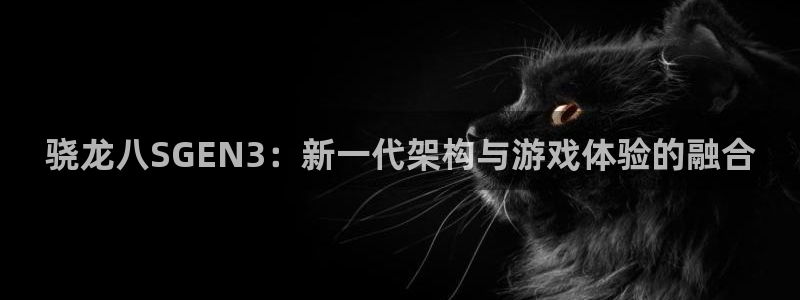 华信娱乐平台管网入口：骁龙八SGEN3：新一代架构与游戏体验的融合