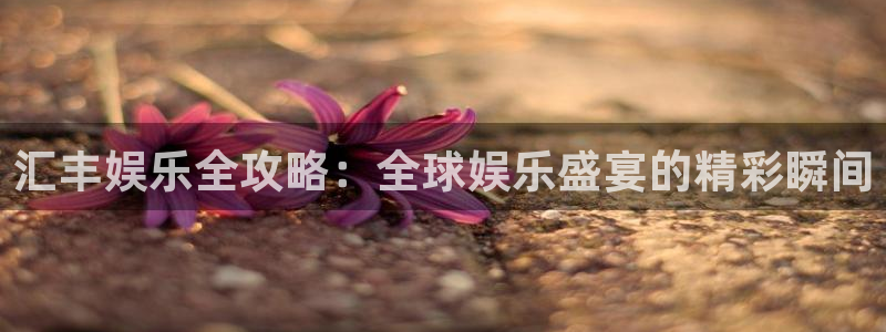 华信娱乐电子有限公司：汇丰娱乐全攻略：全球娱乐盛宴的精彩瞬间