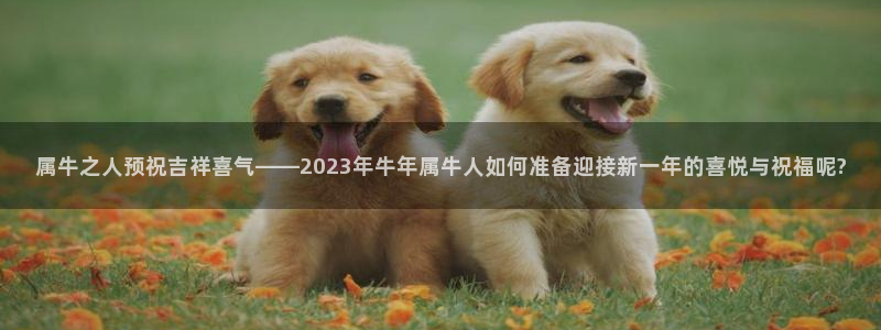 华信娱乐平台最新版本下载：属牛之人预祝吉祥喜气——2023年牛年属牛人如何准备迎