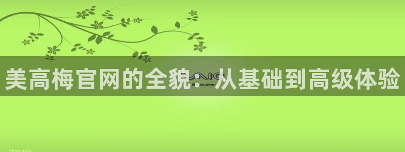 华信娱乐体育平台开号链接：美高梅官网的全貌：从基础到高级体验