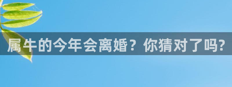 华信娱乐是啥：属牛的今年会离婚？你猜对了吗?