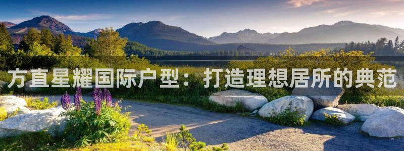 华信娱乐pg：方直星耀国际户型：打造理想居所的典范