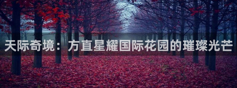 华信娱乐体育平台开号链接：天际奇境：方直星耀国际花园的璀璨光芒