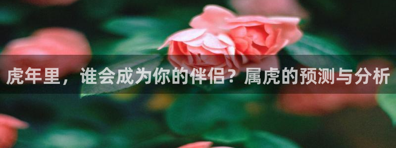 华信娱乐平台总代理：虎年里，谁会成为你的伴侣？属虎的预测与分析