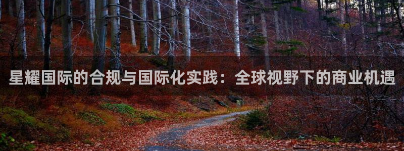 华信娱乐主管：星耀国际的合规与国际化实践：全球视野下的商业机遇