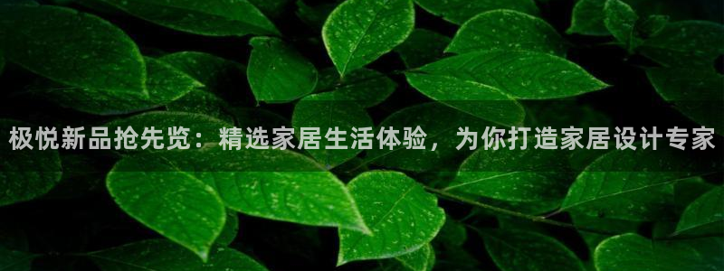华信娱乐账号注册入口：极悦新品抢先览：精选家居生活体验，为你打造家居设计专家