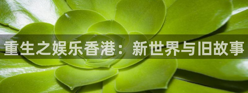 华信娱乐游戏官网平台：重生之娱乐香港：新世界与旧故事