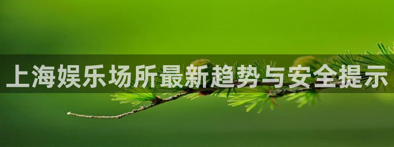 华信娱乐体育平台总代理：上海娱乐场所最新趋势与安全提示
