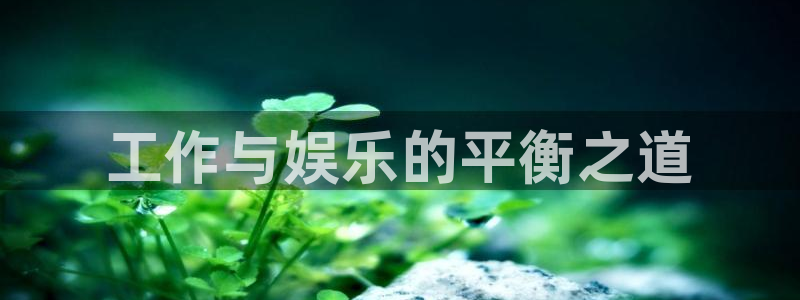 华信娱乐股份：工作与娱乐的平衡之道