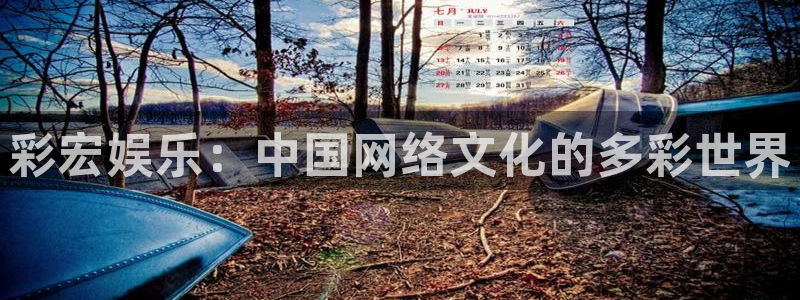 华信娱乐4官网：彩宏娱乐：中国网络文化的多彩世界