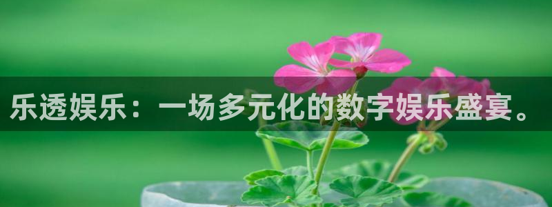 华信娱乐vip麻将胡了：乐透娱乐：一场多元化的数字娱乐盛宴。