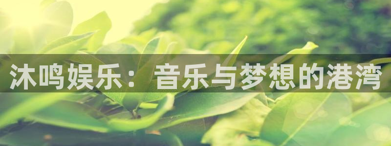 华信娱乐体育平台开号链接：沐鸣娱乐：音乐与梦想的港湾