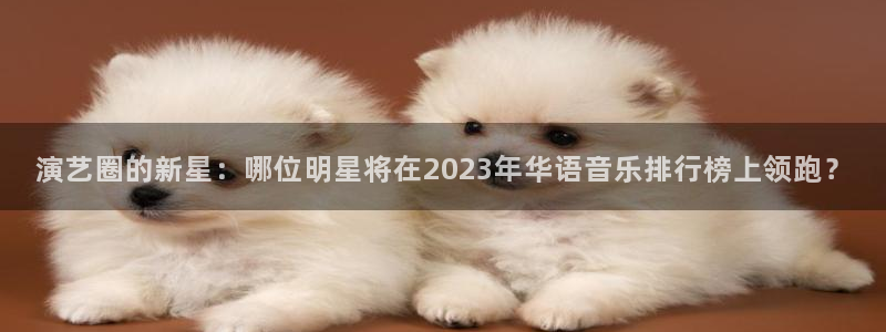 华信娱乐游戏官网入口：演艺圈的新星：哪位明星将在2023年华语音乐排行榜上领跑？