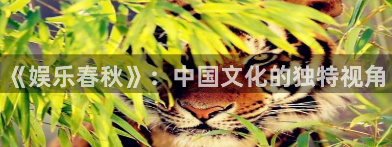 华信娱乐游戏官网平台：《娱乐春秋》：中国文化的独特视角